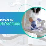 Dentistas en Brentwood: Direcciones, teléfonos, Servicios y precios